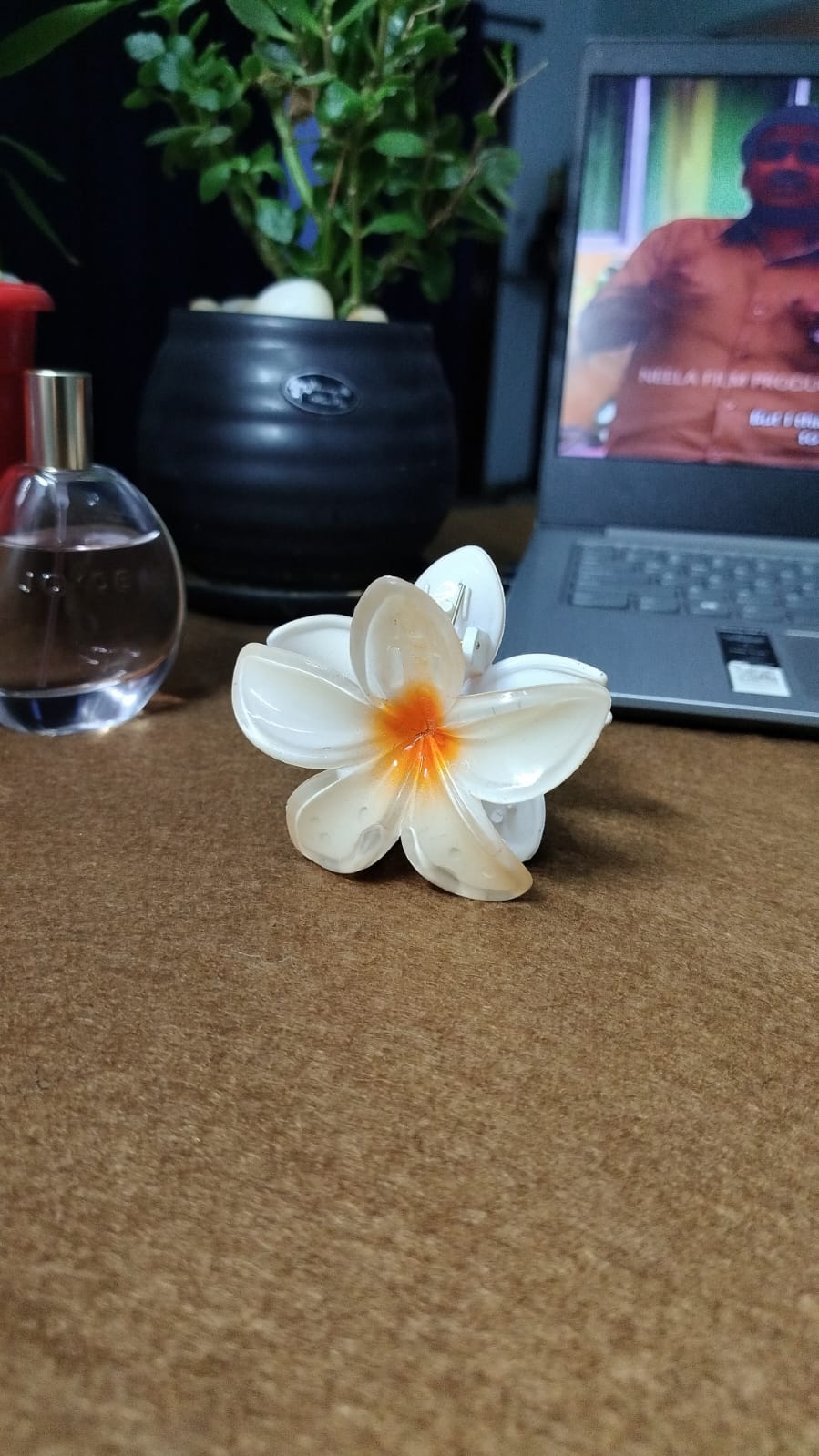 Serraw coral flower hair clip in white with orange center placed on brown surface